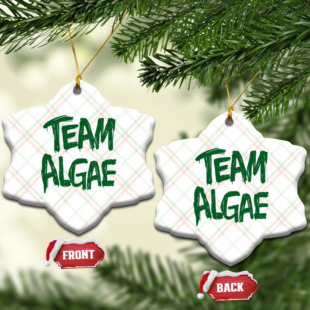 Team Algae Slime Dripping Style Graphic Ceramic Ornament Viral Lincoln Memorial Reflecting Pool Swamp Meme