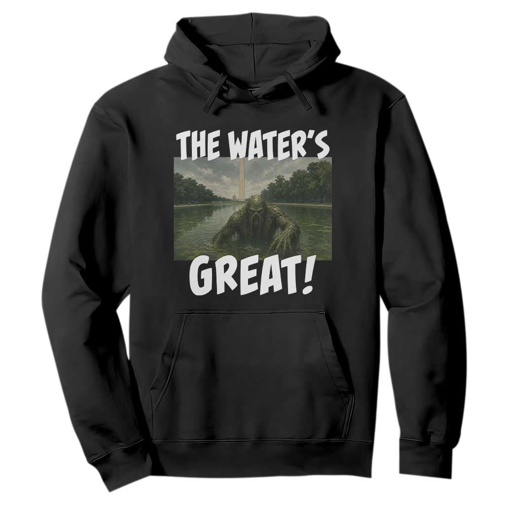 The Water is Great Swamp Monster Reflecting Pool Hoodie Funny Washington DC Algae Creature Meme
