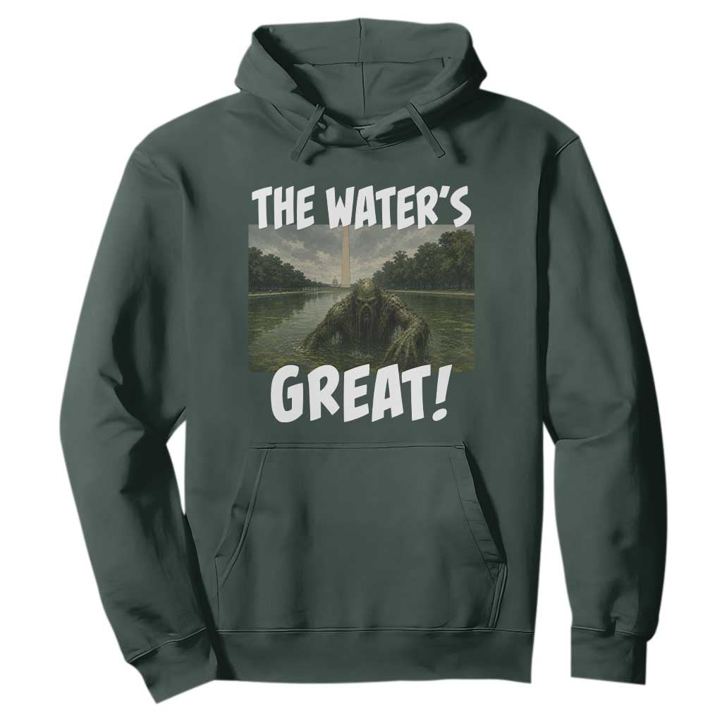 The Water is Great Swamp Monster Reflecting Pool Hoodie Funny Washington DC Algae Creature Meme