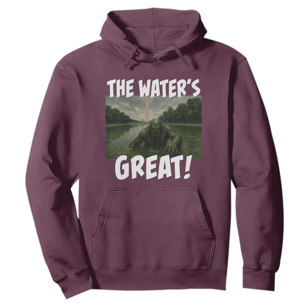 The Water is Great Swamp Monster Reflecting Pool Hoodie Funny Washington DC Algae Creature Meme