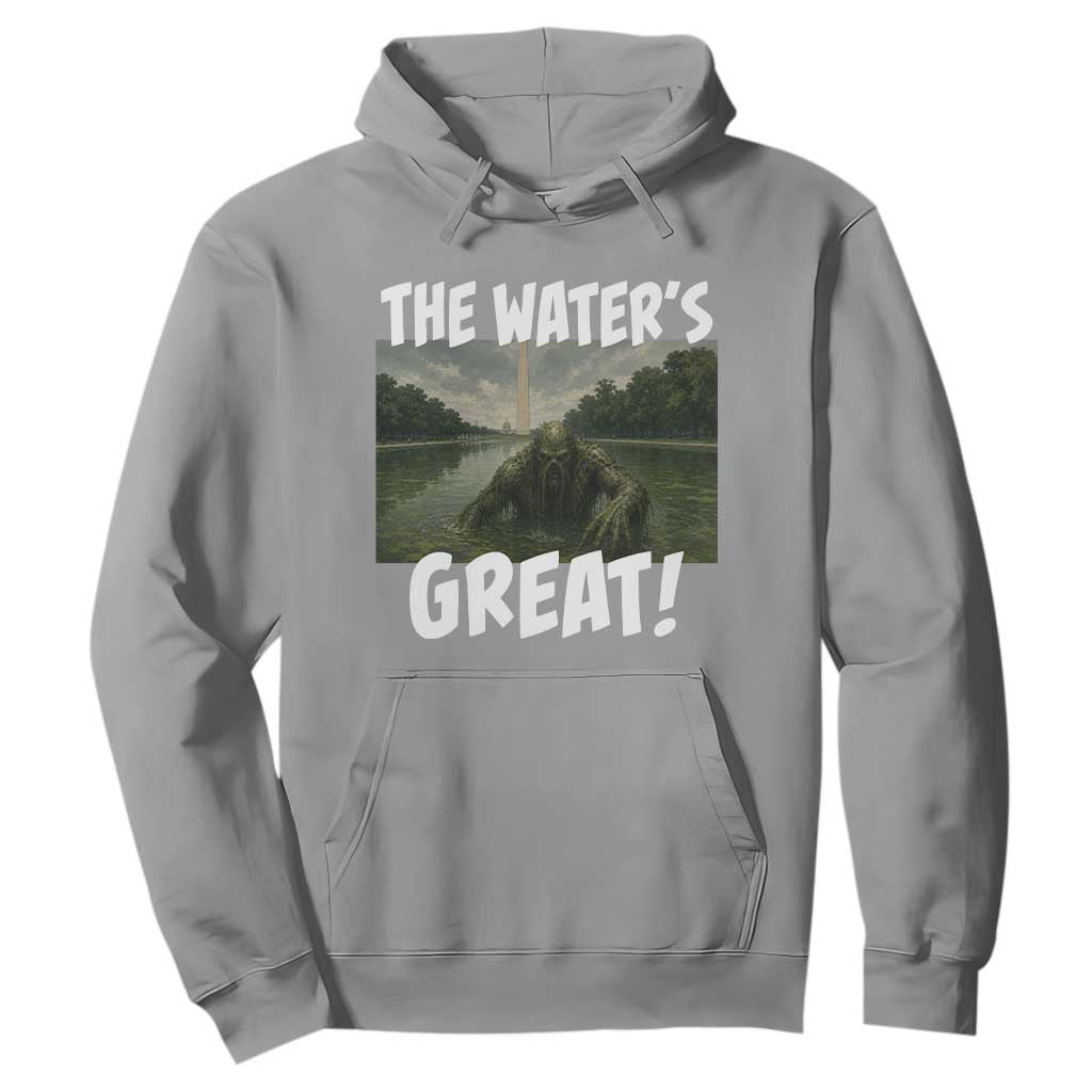 The Water is Great Swamp Monster Reflecting Pool Hoodie Funny Washington DC Algae Creature Meme