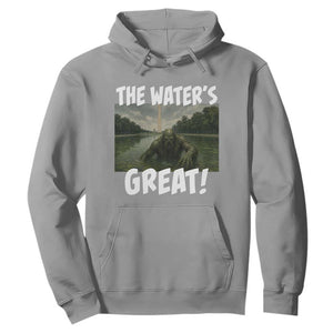 The Water is Great Swamp Monster Reflecting Pool Hoodie Funny Washington DC Algae Creature Meme