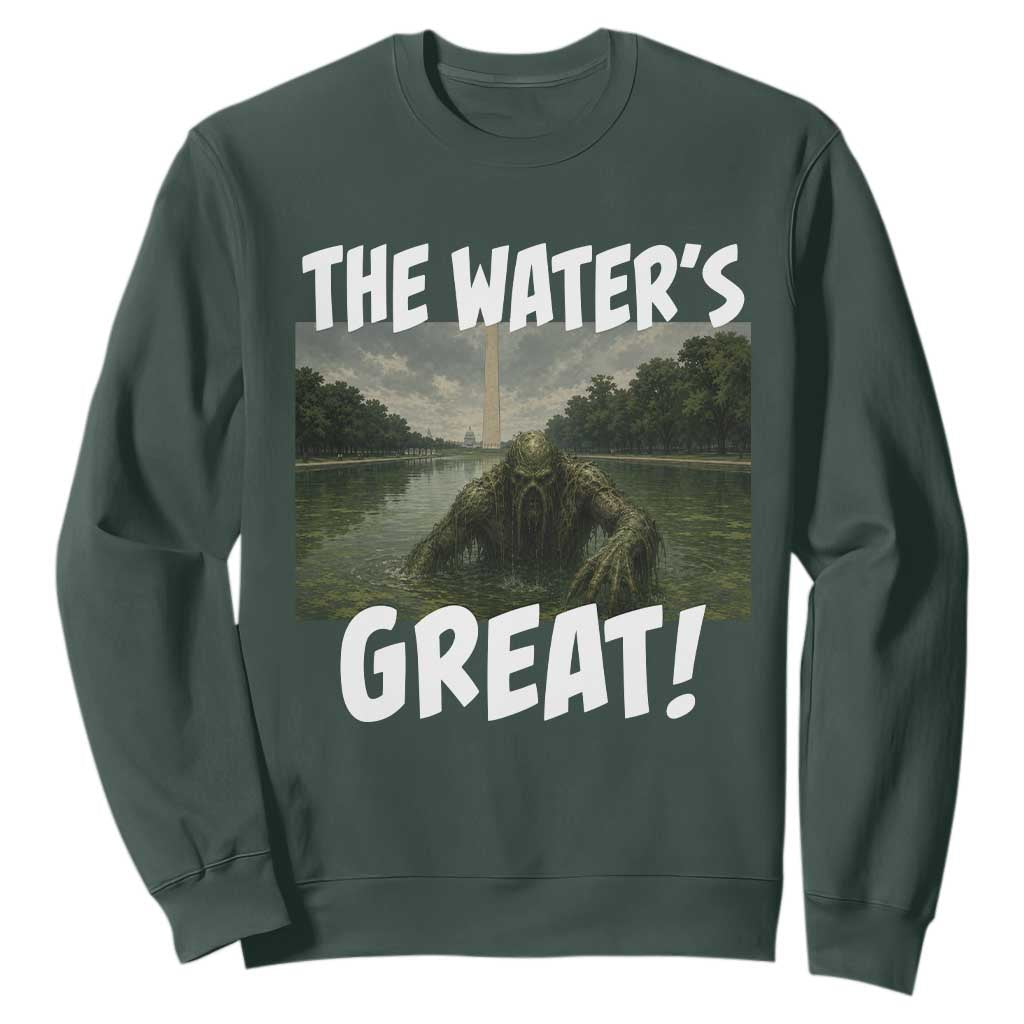 The Water is Great Swamp Monster Reflecting Pool Sweatshirt Funny Washington DC Algae Creature Meme