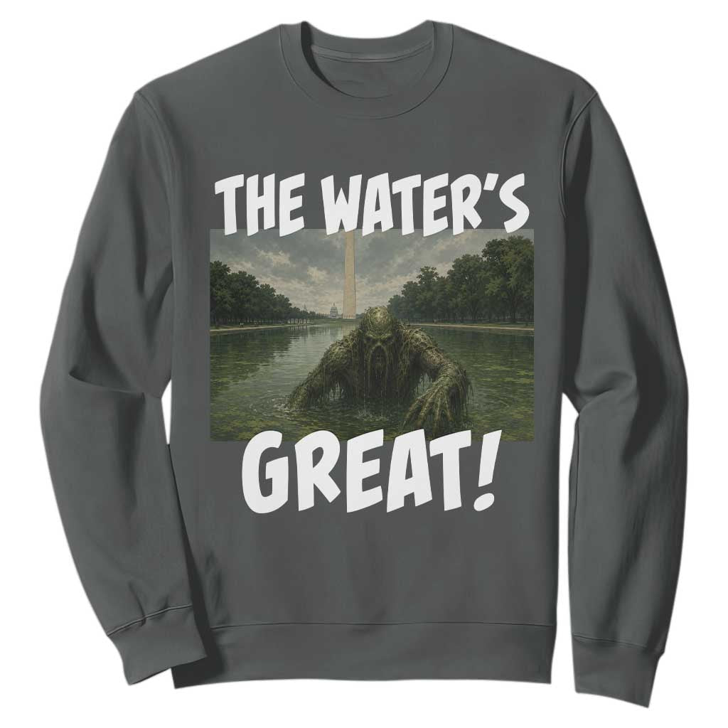 The Water is Great Swamp Monster Reflecting Pool Sweatshirt Funny Washington DC Algae Creature Meme