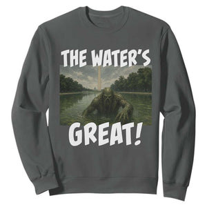 The Water is Great Swamp Monster Reflecting Pool Sweatshirt Funny Washington DC Algae Creature Meme