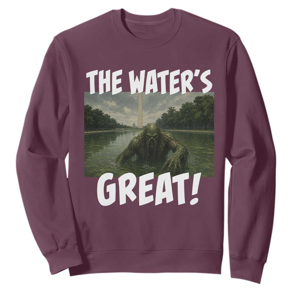 The Water is Great Swamp Monster Reflecting Pool Sweatshirt Funny Washington DC Algae Creature Meme