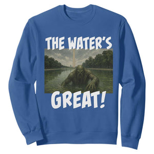The Water is Great Swamp Monster Reflecting Pool Sweatshirt Funny Washington DC Algae Creature Meme