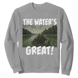 The Water is Great Swamp Monster Reflecting Pool Sweatshirt Funny Washington DC Algae Creature Meme