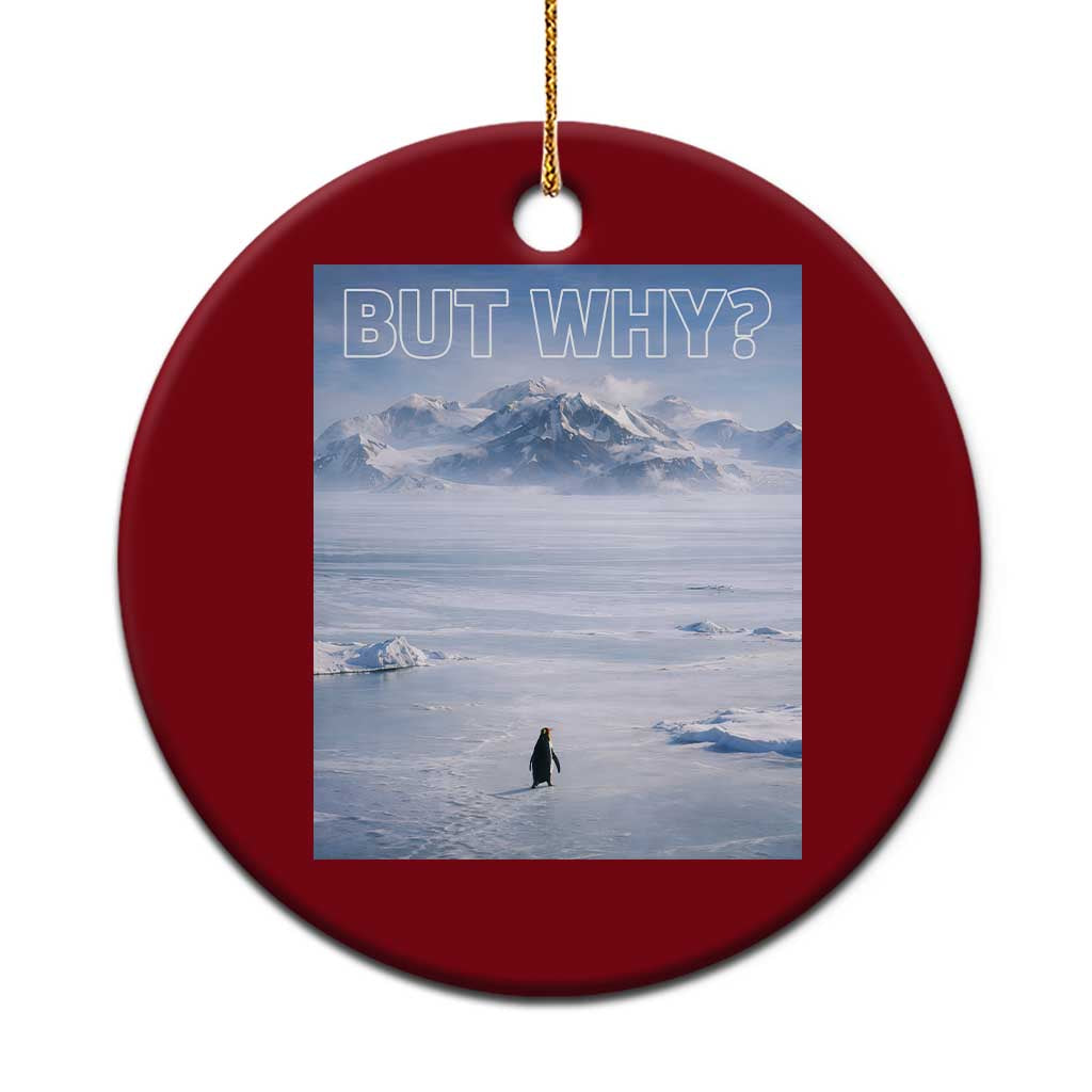 Funny Nihilist Penguin But Why Meme Ceramic Ornament Existential Arctic Scene Icy Wilderness Quiet Thinkers TS02 1pc Red Print Your Wear