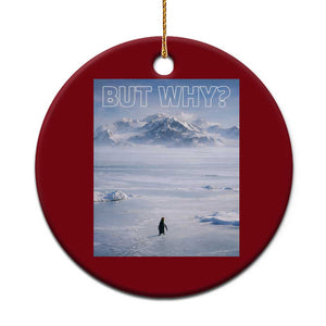 Funny Nihilist Penguin But Why Meme Ceramic Ornament Existential Arctic Scene Icy Wilderness Quiet Thinkers TS02 1pc Red Print Your Wear