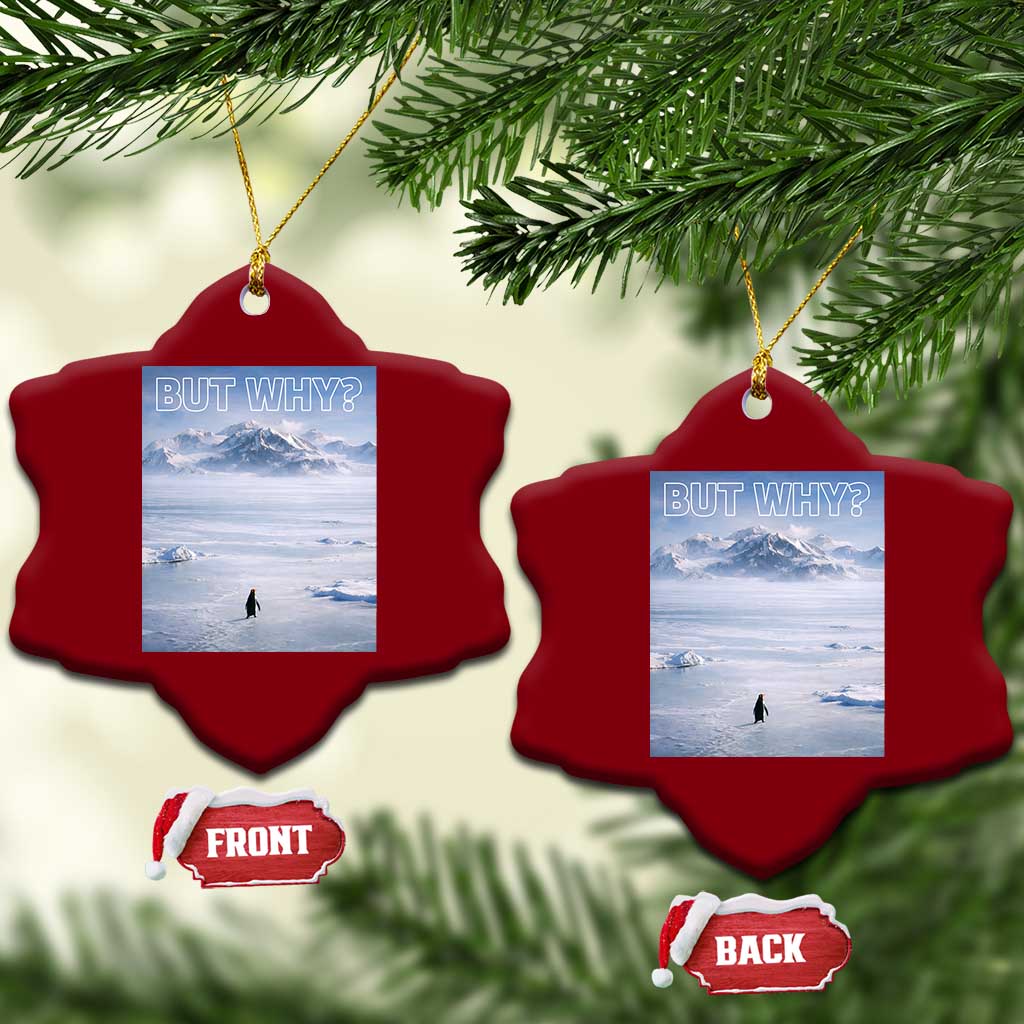 Funny Nihilist Penguin But Why Meme Ceramic Ornament Existential Arctic Scene Icy Wilderness Quiet Thinkers TS02 Print Your Wear