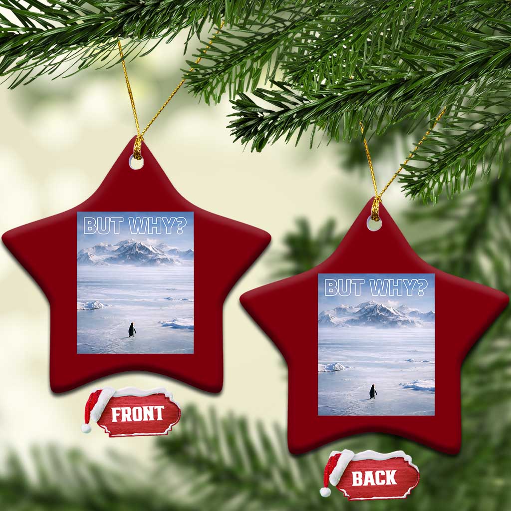 Funny Nihilist Penguin But Why Meme Ceramic Ornament Existential Arctic Scene Icy Wilderness Quiet Thinkers TS02 Print Your Wear