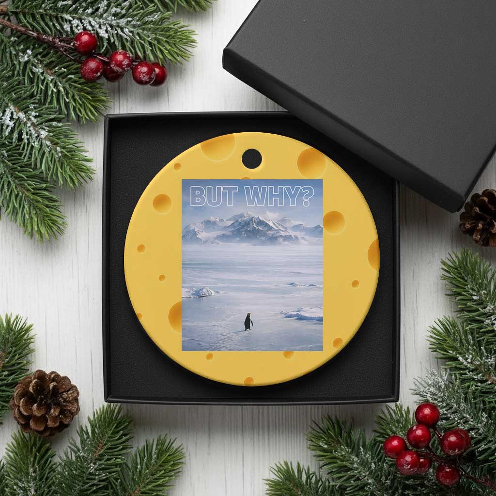 Funny Nihilist Penguin But Why Meme Ceramic Ornament Existential Arctic Scene Icy Wilderness Quiet Thinkers TS02 1pc Yellow Cheese Print Your Wear