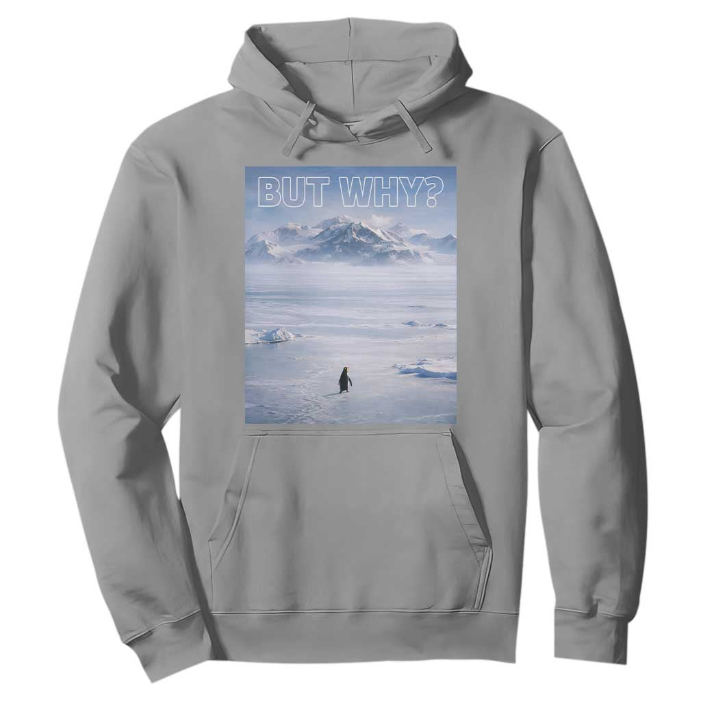 Funny Nihilist Penguin But Why Meme Hoodie Existential Arctic Scene Icy Wilderness Quiet Thinkers TS02 Sport Gray Print Your Wear