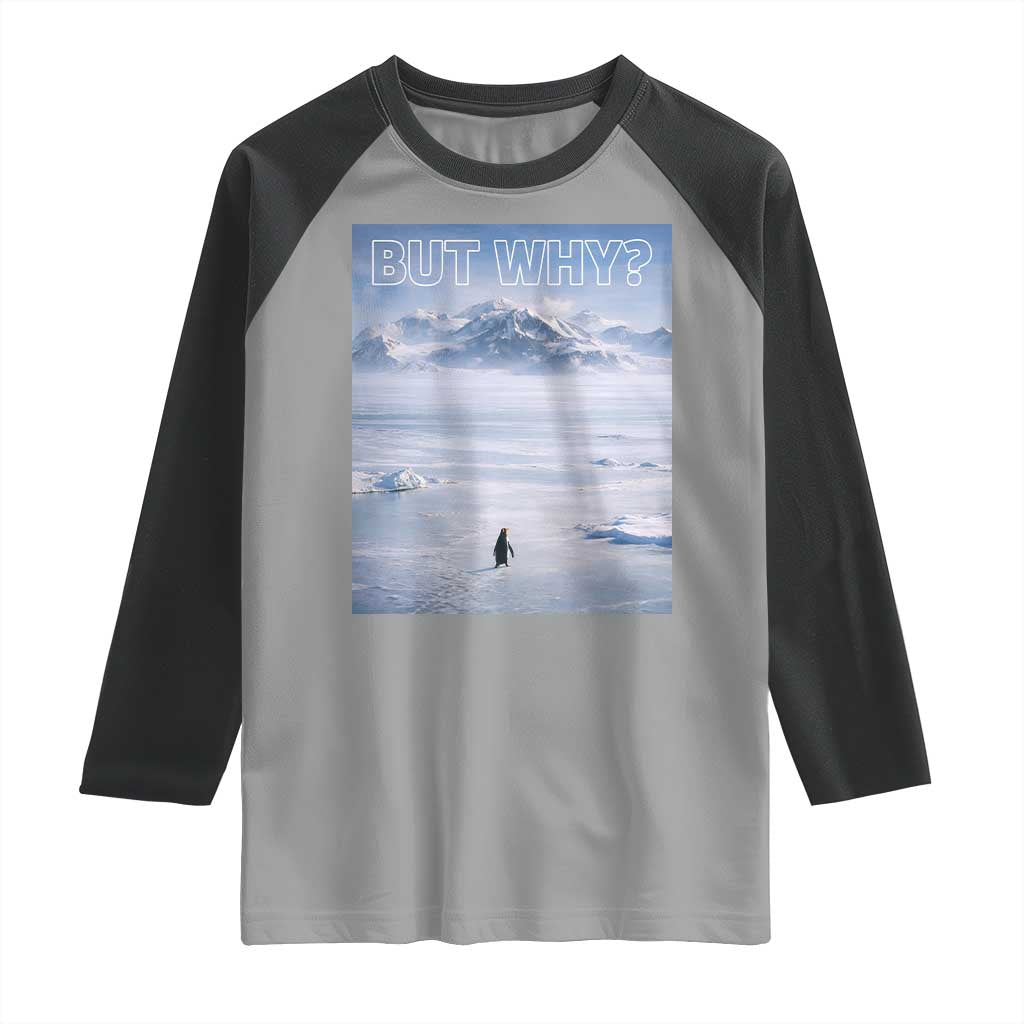 Funny Nihilist Penguin But Why Meme Raglan Shirt Existential Arctic Scene Icy Wilderness Quiet Thinkers TS02 Sport Gray Black Print Your Wear
