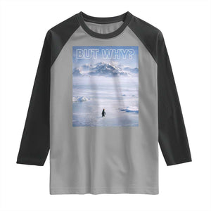 Funny Nihilist Penguin But Why Meme Raglan Shirt Existential Arctic Scene Icy Wilderness Quiet Thinkers TS02 Sport Gray Black Print Your Wear