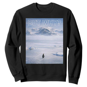 Funny Nihilist Penguin But Why Meme Sweatshirt Existential Arctic Scene Icy Wilderness Quiet Thinkers TS02 Black Print Your Wear