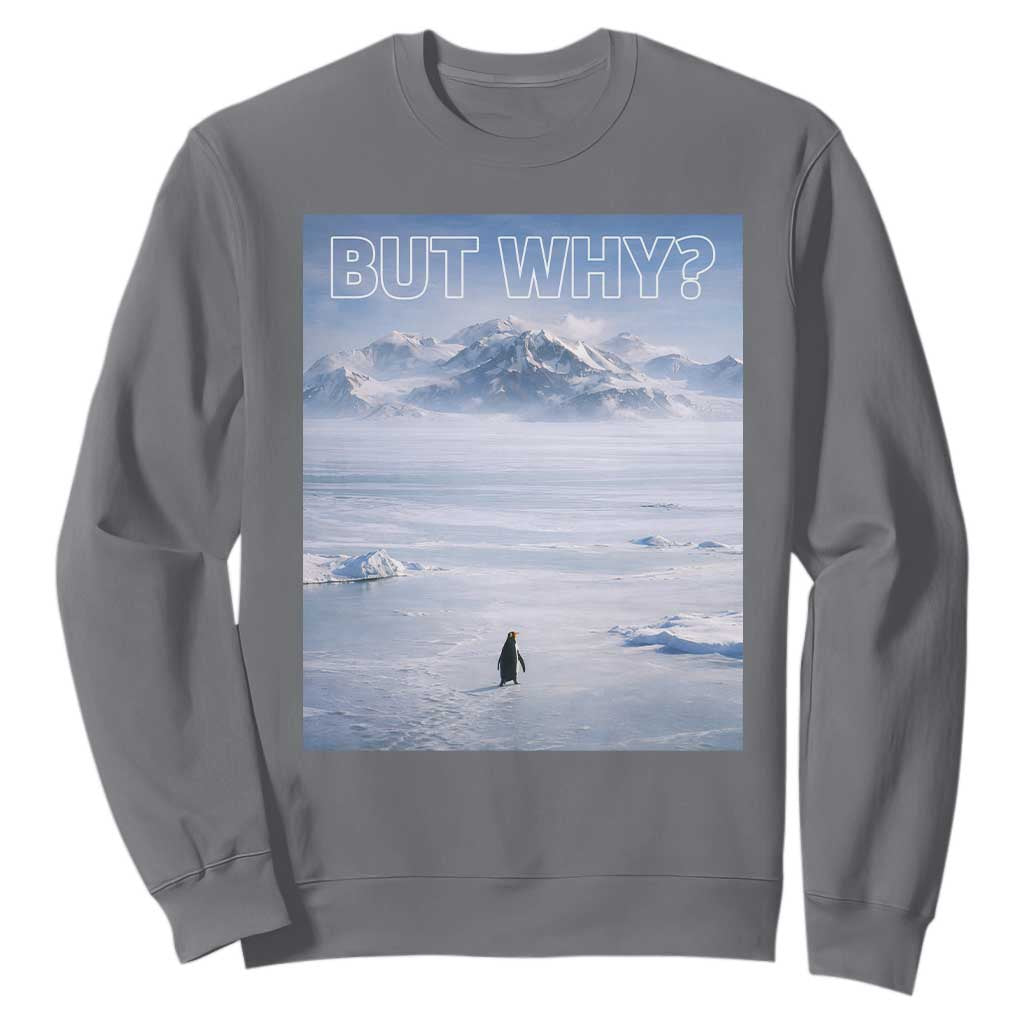 Funny Nihilist Penguin But Why Meme Sweatshirt Existential Arctic Scene Icy Wilderness Quiet Thinkers TS02 Charcoal Print Your Wear