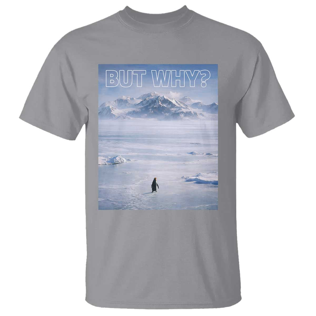 Funny Nihilist Penguin But Why Meme T Shirt Existential Arctic Scene Icy Wilderness Quiet Thinkers TS02 Sport Gray Print Your Wear
