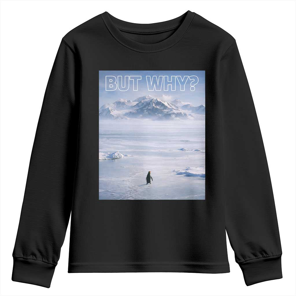 Funny Nihilist Penguin But Why Meme Youth Sweatshirt Existential Arctic Scene Icy Wilderness Quiet Thinkers TS02 Black Print Your Wear