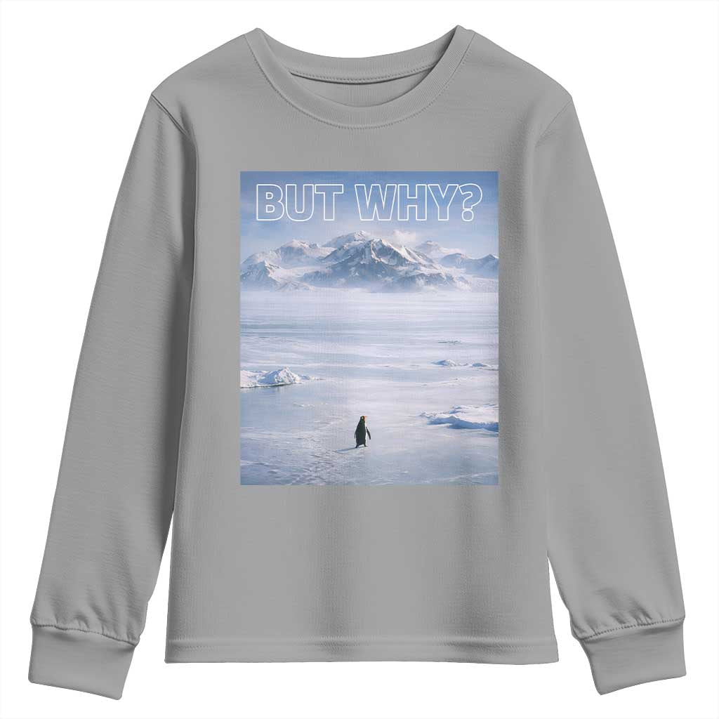 Funny Nihilist Penguin But Why Meme Youth Sweatshirt Existential Arctic Scene Icy Wilderness Quiet Thinkers TS02 Sport Gray Print Your Wear