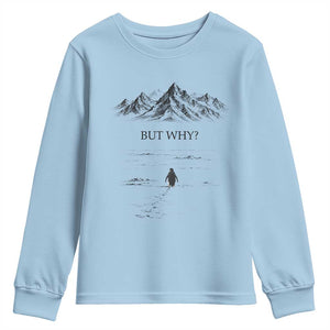 The Nihilist Penguin But Why Meme Youth Sweatshirt Existential Moody Quiet Thinkers TS02 Light Blue Print Your Wear