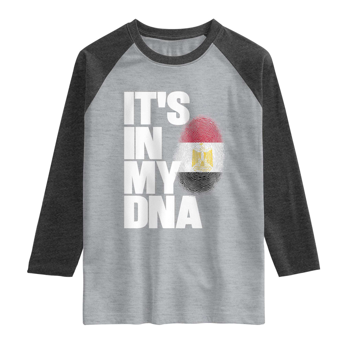 Egypt It's In My DNA Flag Fingerprint Graphic Raglan Shirt Egyptian Heritage Pride Roots TS02 Heather Gray Heather Charcoal Print Your Wear