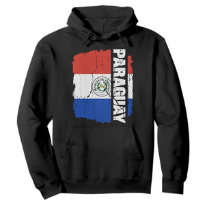 Paraguay Proud Roots Vintage Paraguaya Flag Heritage Pride Hoodie TS02 Black Print Your Wear