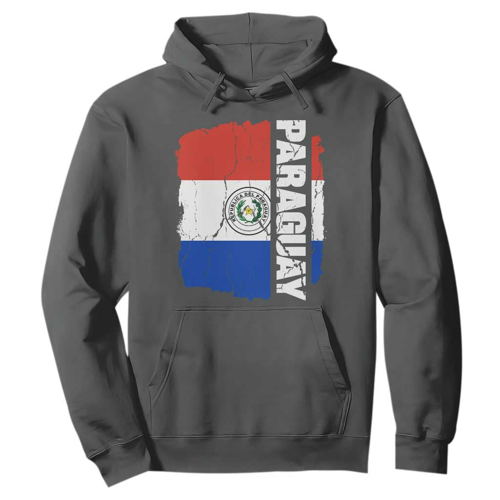 Paraguay Proud Roots Vintage Paraguaya Flag Heritage Pride Hoodie TS02 S Dark Heather Print Your Wear