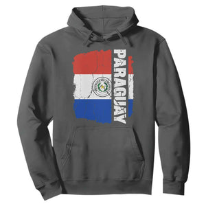 Paraguay Proud Roots Vintage Paraguaya Flag Heritage Pride Hoodie TS02 S Dark Heather Print Your Wear