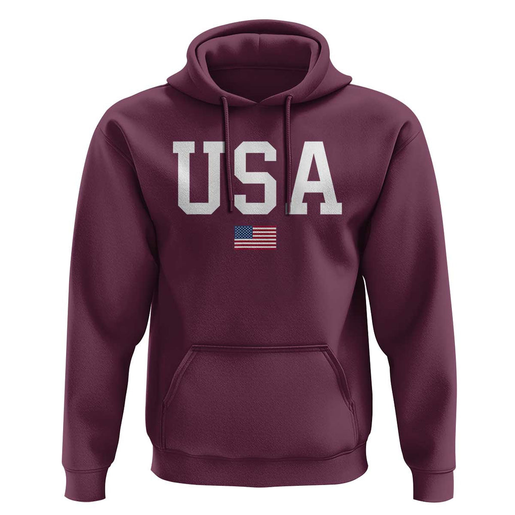 USA Hoodie Patriotic American Flag TS02 Maroon Print Your Wear