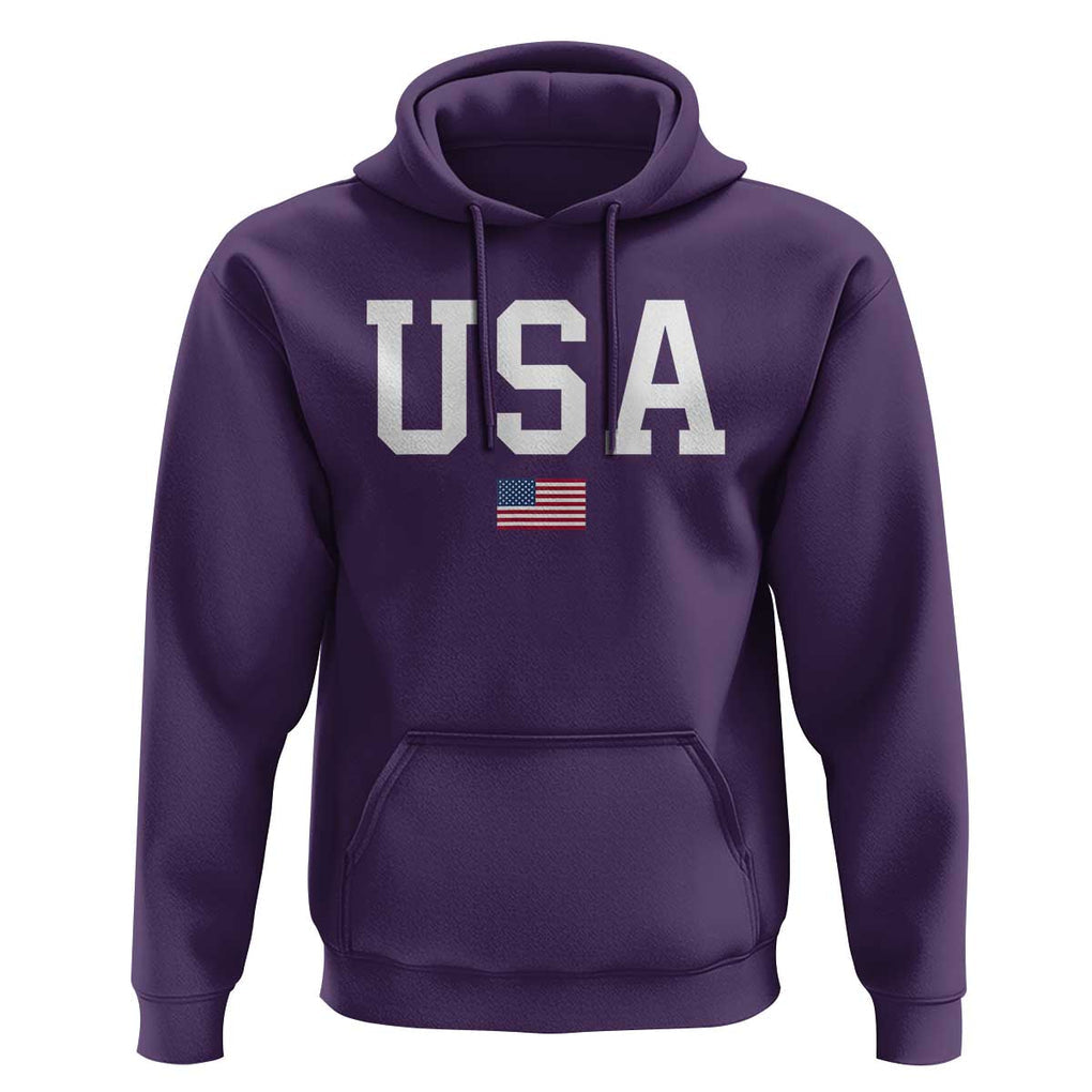 USA Hoodie Patriotic American Flag TS02 Purple Print Your Wear
