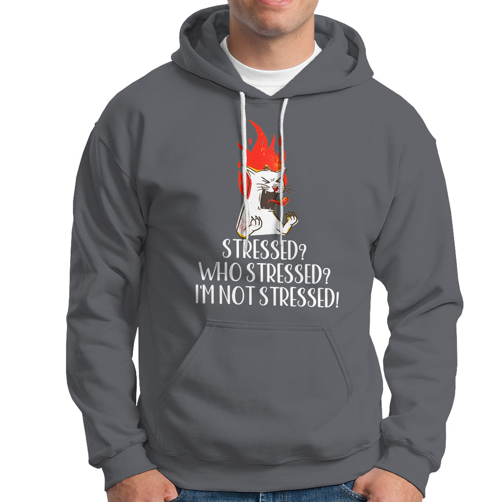Stressed Who's Stressed? I'm Not Stressed Funny Angry Cat Hoodie TS09 Charcoal Printyourwear