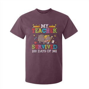 Funny Moo Deng 100th Day Of School T Shirt For Kid My Teacher Survived 100 Days Of Me TS09 Maroon Print Your Wear