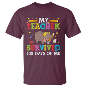 Funny Moo Deng 100th Day Of School T Shirt My Teacher Survived 100 Days Of Me TS09 Maroon Print Your Wear