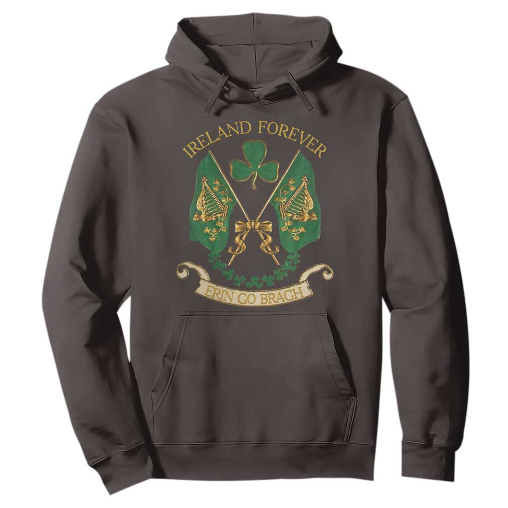 Irish Pride Hoodie Eirinn Go Brach Ireland Forever TS09 Dark Chocolate Print Your Wear
