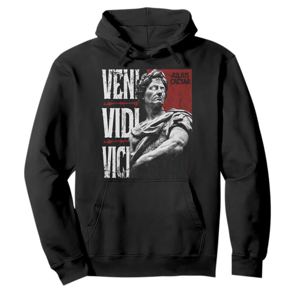 Julius Caesar Hoodie Veni Vidi Vici Latin Roman History TS09 Black Print Your Wear