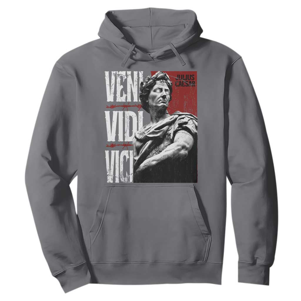 Julius Caesar Hoodie Veni Vidi Vici Latin Roman History TS09 Charcoal Print Your Wear