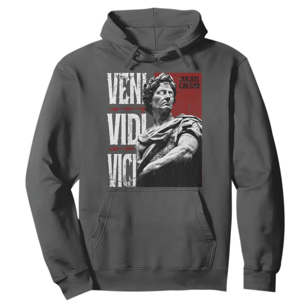 Julius Caesar Hoodie Veni Vidi Vici Latin Roman History TS09 Dark Heather Print Your Wear