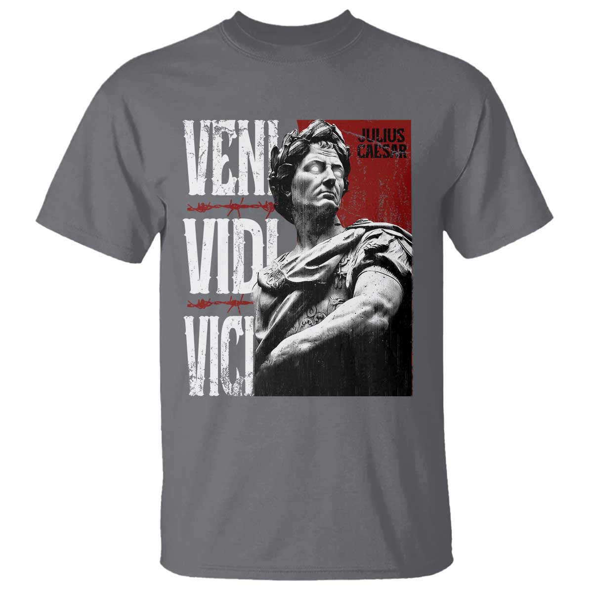 Julius Caesar T Shirt Veni Vidi Vici Latin Roman History TS09 Charcoal Print Your Wear