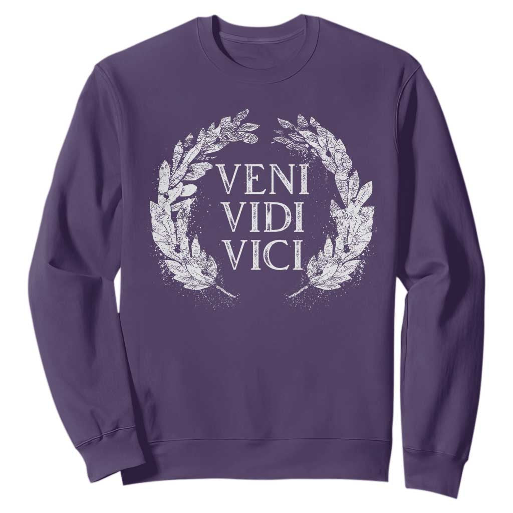 Julius Caesar Veni Vidi Vici Sweatshirt Latin Roman History TS09 Purple Print Your Wear
