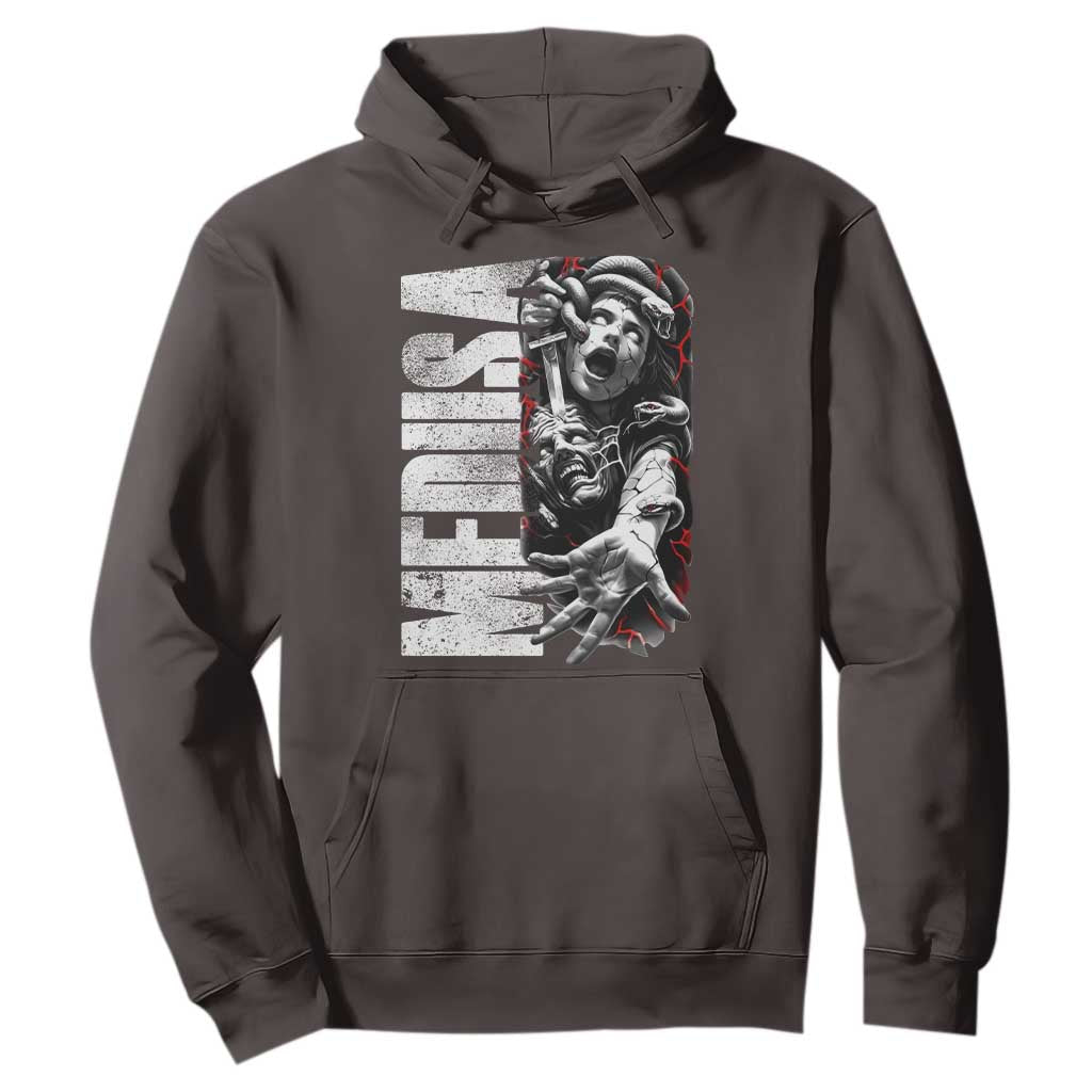 Greek Mythology Medusa Hoodie TS09 Dark Chocolate Print Your Wear