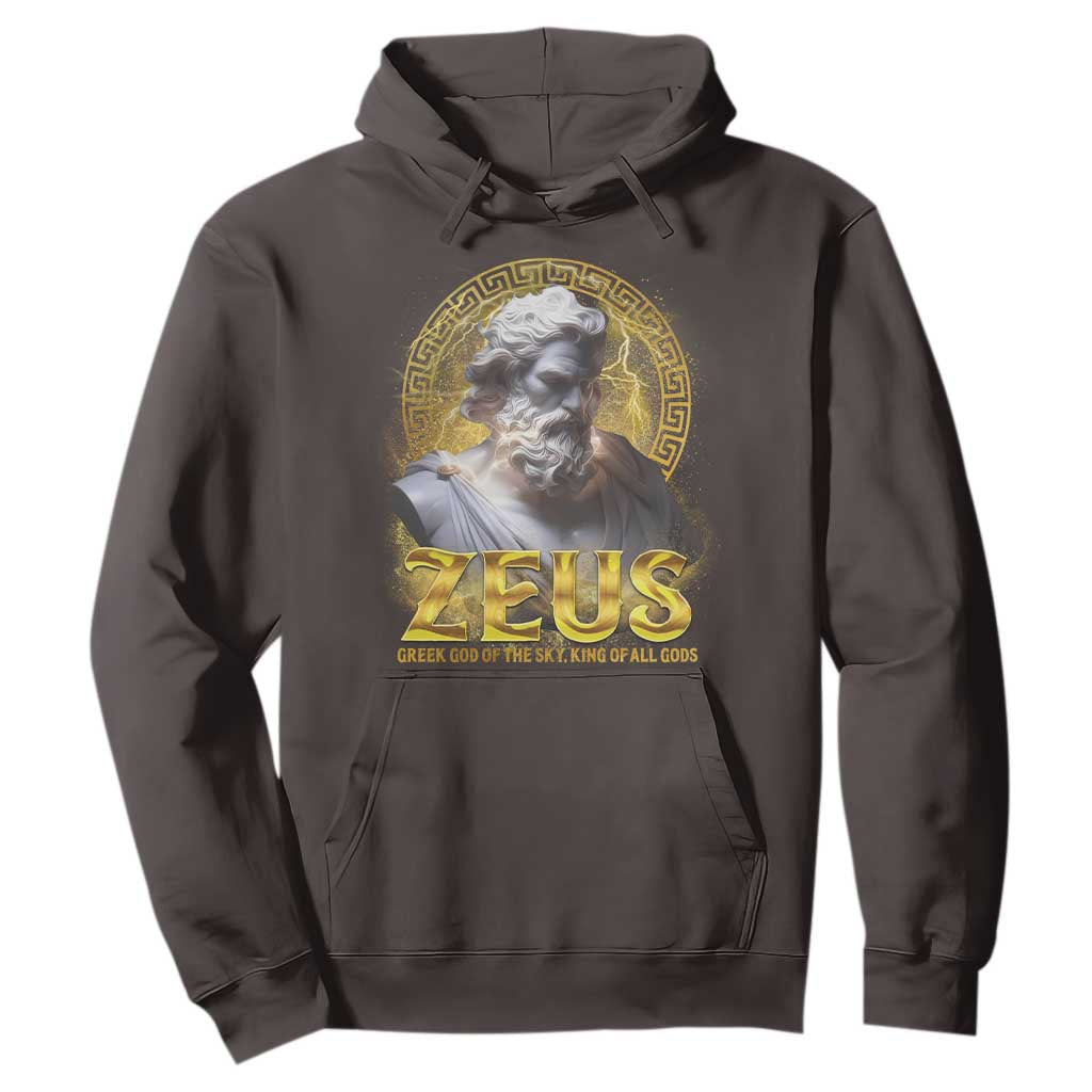 Greek Mythology Zeus Hoodie God Of The Sky King Of All Gods TS09 Dark Chocolate Print Your Wear