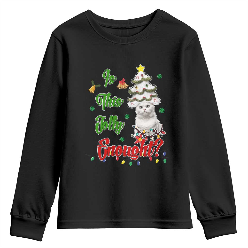Christmas Cat Youth Sweatshirt Is This Jolly Enough TS09 Black Print Your Wear