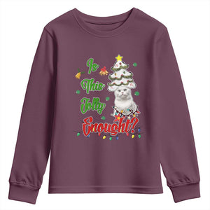 Christmas Cat Youth Sweatshirt Is This Jolly Enough TS09 Maroon Print Your Wear