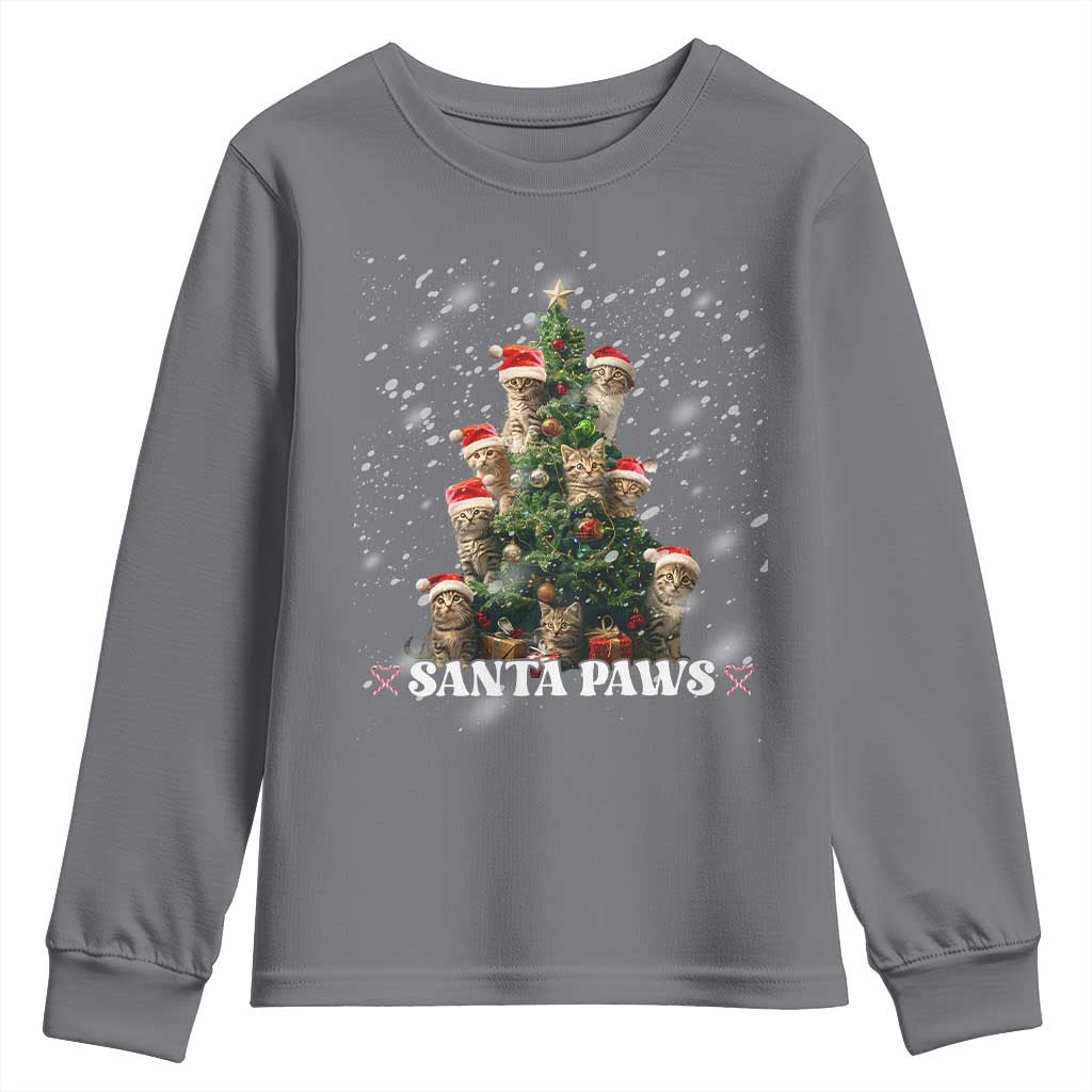Christmas Cat Youth Sweatshirt Santa Paw And Claw Cats Xmas Tree TS09 Charcoal Print Your Wear