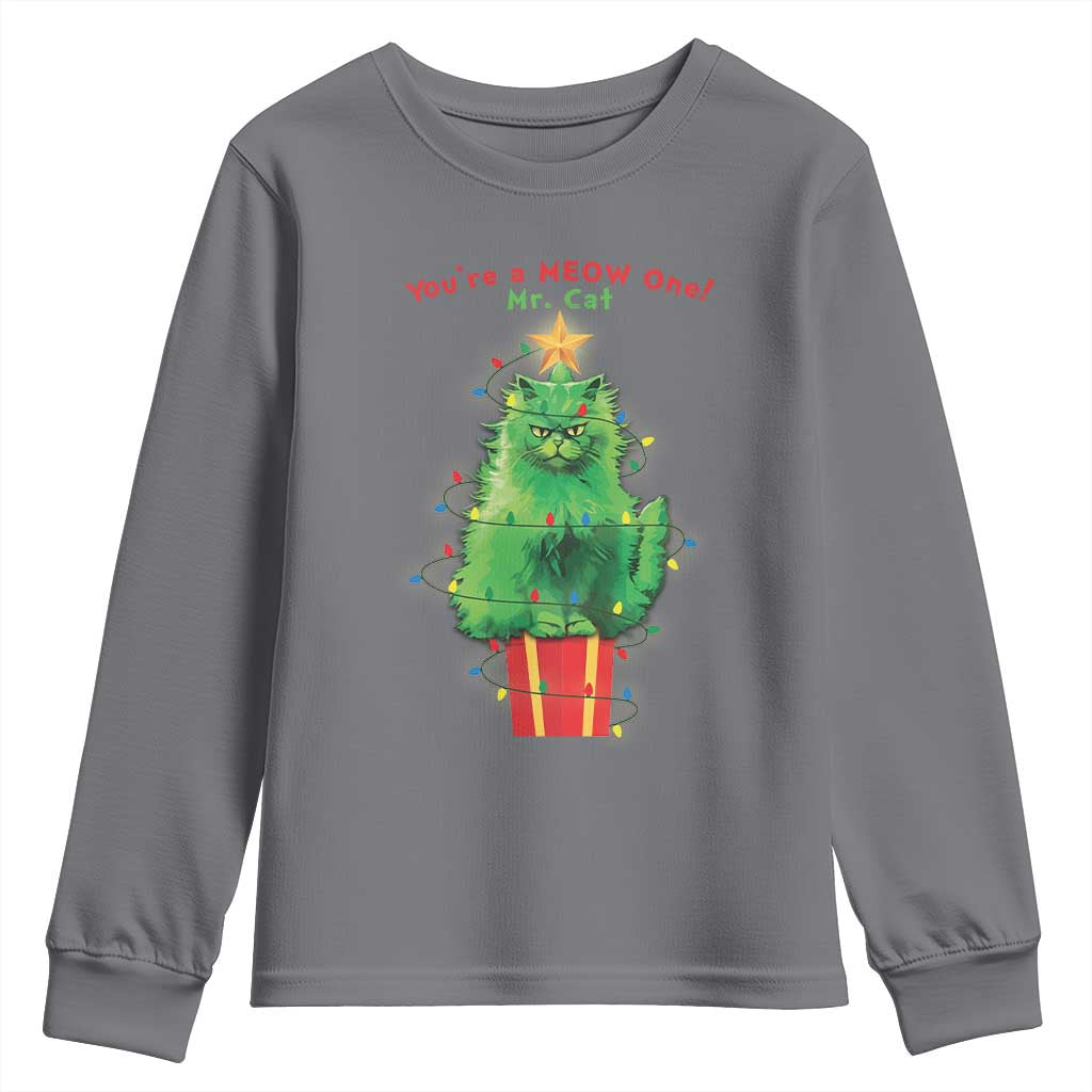 Funny Christmas Cat Youth Sweatshirt You Are A Meow One Mr. Cat Green Cat TS09 Charcoal Print Your Wear