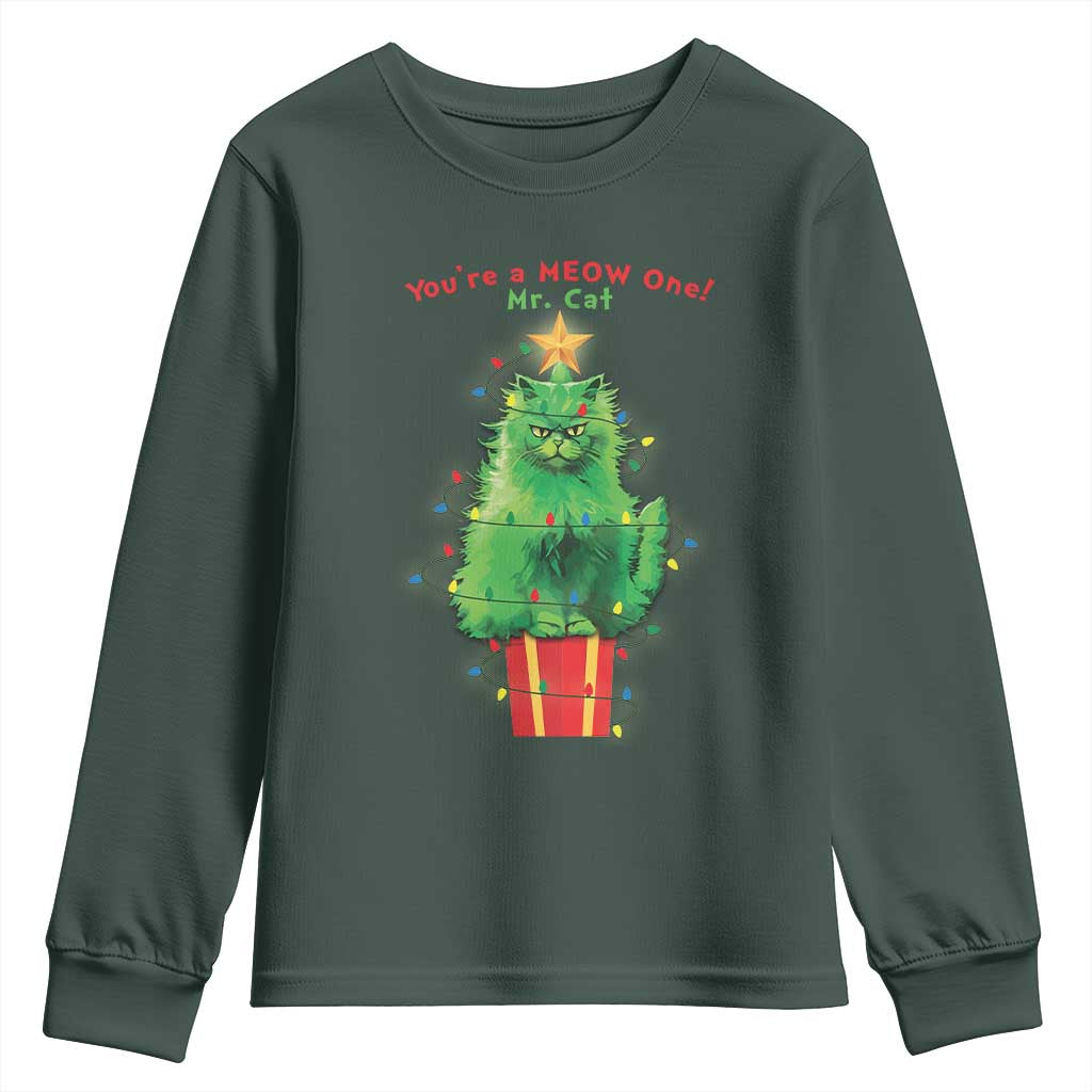 Funny Christmas Cat Youth Sweatshirt You Are A Meow One Mr. Cat Green Cat TS09 Dark Forest Green Print Your Wear