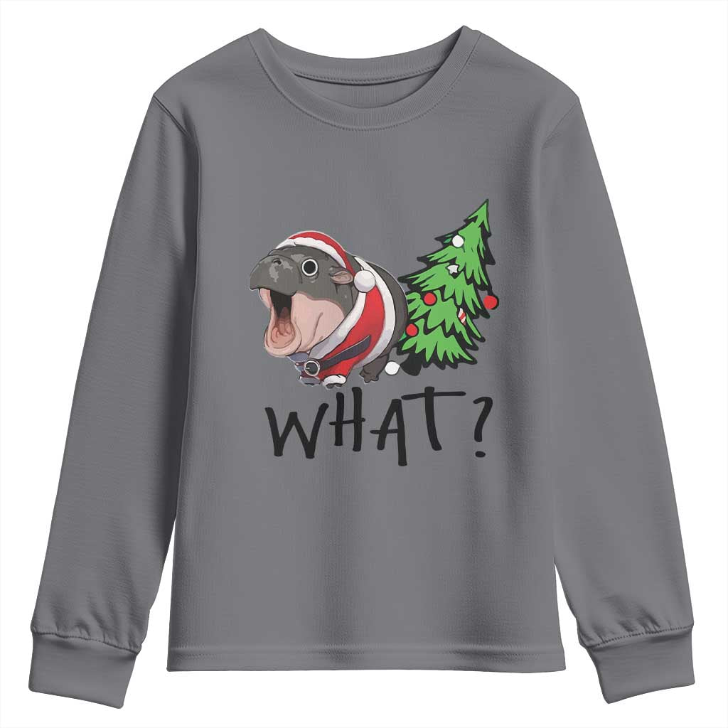 Funny Christmas Moo Deng Youth Sweatshirt What Baby Hippo Pushing Christmas Tree TS09 Charcoal Print Your Wear