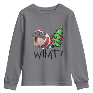 Funny Christmas Moo Deng Youth Sweatshirt What Baby Hippo Pushing Christmas Tree TS09 Charcoal Print Your Wear